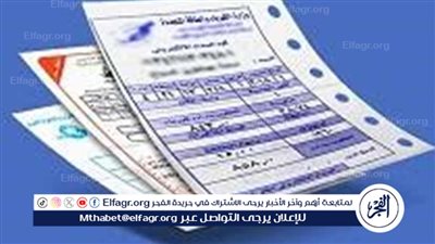 سداد فاتورة الكهرباء 2024 أون لاين عبر شبكة الإنترنت وحقيقة وجود زيادة