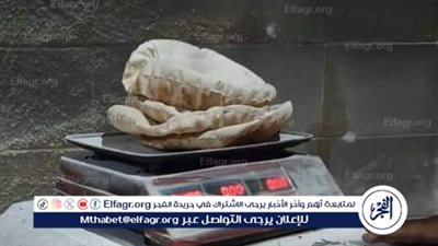 لهذه الأسباب.. محافظ الدقهلية يحيل 569 محضرا بمخالفات الرقابة على الأسواق للنيابة العامة