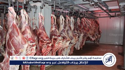 رئيس الوزراء يتابع جهود توفير اللحوم الحمراء وتوازن الأسعار بالأسواق