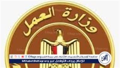 وظائف وزارة العمل دون مؤهلات 