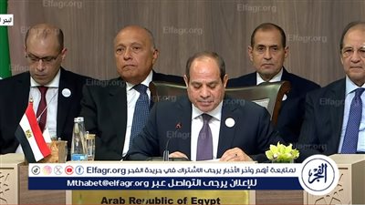 السيسي يطالب بالوقف الفوري والشامل والمستدام لإطلاق النار في غزة (فيديو)