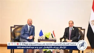 الرئاسة تكشف تفاصيل لقاء السيسي مع رئيس المجلس الأوروبي