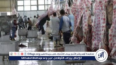 أماكن مجانية لذبح الأضحية في الجيزة..تعرف عليها