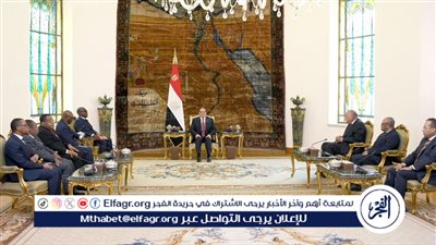 عاجل| السيسي يستقبل نائب رئيس جمهورية غينيا الاستوائية