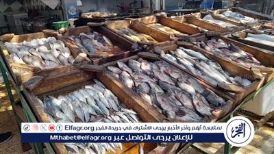 أسعار الأسماك اليوم الخميس فى محافظة سوهاج