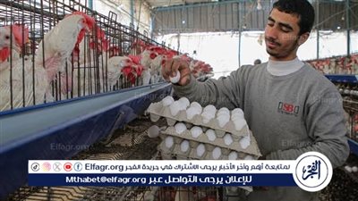 أسعار الدواجن اليوم الخميس فى محافظة سوهاج