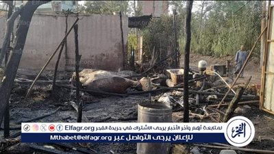 السيطرة على حريق هائل بحظيرة مواشي بالمنوفية