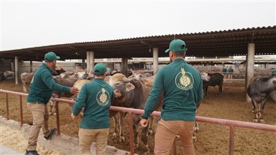 بيت الزكاة والصدقات يوقع بروتوكولي تعاون مع «قوافل التضامن الفرنسية»و«وقف الإنسان الخيرية التركية» 