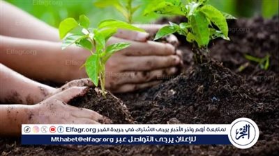 أستاذ مناخ: الزراعة لها دور مهم في التأثير على الجو.. واللون الأخضر يعطي تفاؤل