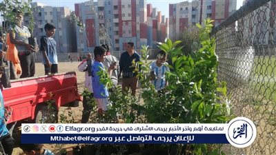 أستاذ دراسات بيئية: زراعة الأشجار تحسن من جودة الحياة للمواطن المصري