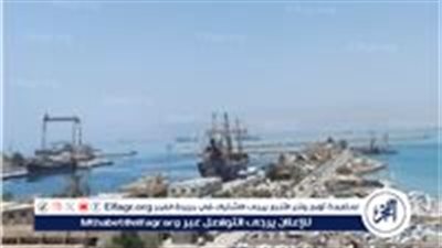 تداول 12 ألف طن بضائع بموانئ السويس والبحر الأحمر