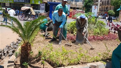 زراعة 250 ألف شجرة في الأقصر ضمن المبادرة الرئاسية 100 مليون شجرة