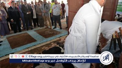 محافظ الدقهلية يشهد ذبح 50 رأس ماشية لتوزيعها على الأسر الأولى بالرعاية