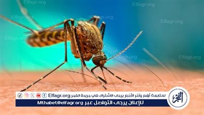 تحذيرات في إسرائيل بعد إصابات خطيرة بـ 