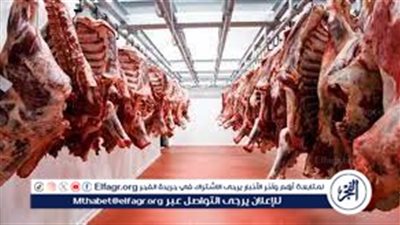 أسعار اللحوم اليوم الخميس 22-8-2024 في الدقهلية 