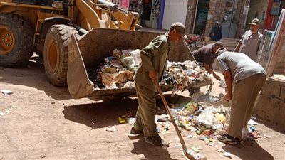 رفع 56 طن قمامة ومخلفات بشوارع أرمنت جنوبي الأقصر