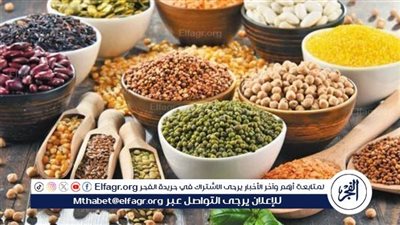 أسعار البقوليات اليوم الجمعة 8-11 -2024 في أسواق ومحال محافظة الدقهلية