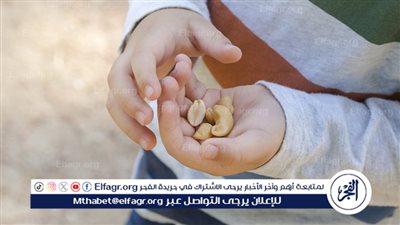 فوائد الكاجو لصحة الأطفال: تعرف على كنز الصحة والتغذية