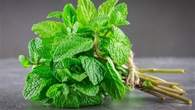 النعناع: فوائد صحية واستخدامات متعددة