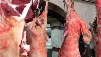 تحرير 15 محضرا مخالفات أغذية غير صالحة للاستهلاك الآدمي في الإسماعيلية 