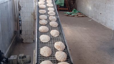 تشديد الرقابة على المخابز والأنشطة التموينية في الإسكندرية