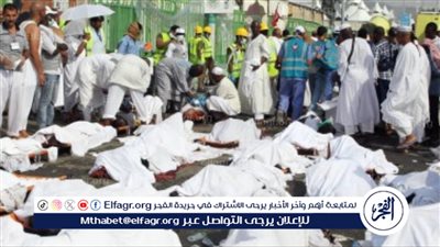  اتحاد المصريين بالسعودية: دفن أغلب جثامين الحجاج المصريين في مكة (فيديو)