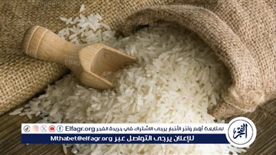 تراجع أسعار الأرز في الأسواق المصرية اليوم