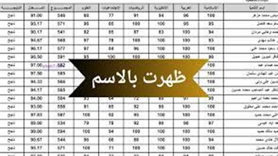 Pdf نتائج الثالث المتوسط في العراق الدور الأول 2024 عبر موقع ملازمنا الإلكتروني