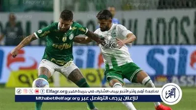 فلامنجو وبالميراس يواصلان الانتصارات بالدوري البرازيلي