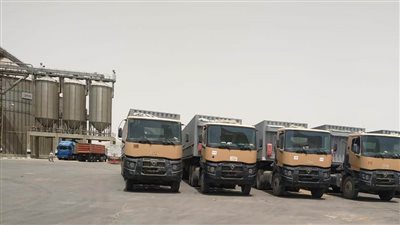 محافظ أسوان: توريد القمح.. وتسليم الموردين والمزارعين لمستحقاتهم 