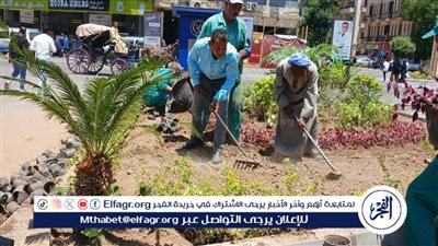 جهاز شؤون البيئة: الدولة المصرية بكل أجهزتها ضد عملية قطع الأشجار (فيديو)