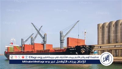 ميناء دمياط يستقبل سفينه قادمة من روسيا تحمل 32 ألف طن من القمح