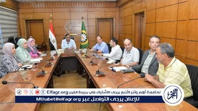 محافظ الدقهلية: مشروع 