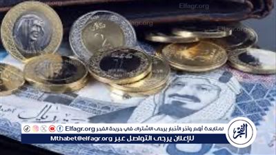 ارتفاع سعر الريال السعودي مقابل الجنيه المصري اليوم الأربعاء 26 يونيو 2024