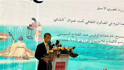 سفير الصين بالقاهرة: العلاقات الصينية المصرية نموذجا حيا للتضامن والتعاون والمنفعة المتبادلة