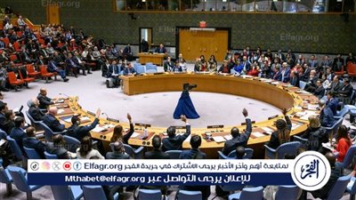 عاجل| مجلس الأمن يوافق على تمديد عمل قوات اليونيفيل في لبنان لمدة 12 شهرًا