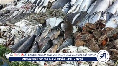 أسعار السمك اليوم في سوق العبور - السبت 29 يونيو 2024