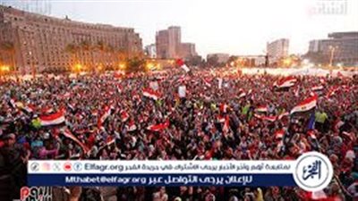 خبير: ثورة 30 يونيو كانت بداية الاستقرار في مصر