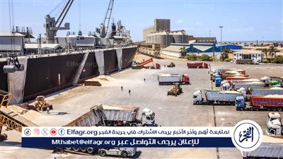 ميناء دمياط: وصول رصيد صومعة القمح إلى 136 ألف طن داخل مخازن القطاع الخاص