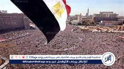 أستاذ تاريخ: 30 يونيو زلزل الإسلام السياسي وكشف أزمة الإخوان مع الديمقراطية(فيديو)