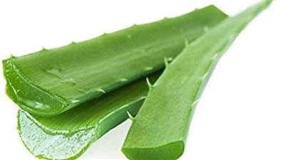 فوائد الصبار: استخداماته الصحية والجمالية