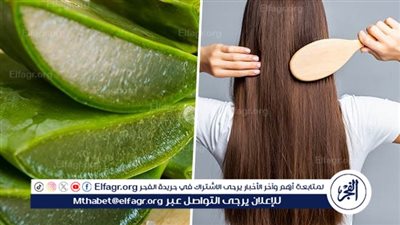 فوائد الصبار للشعر: تعزيز نمو وترطيب وتقوية