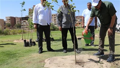 محافظ أسوان يقوم بزراعة مجموعة من الأشجار لمواجهة ارتفاع درجات الحرارة