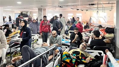 كبيرة منسقي الشؤون الإنسانية: 