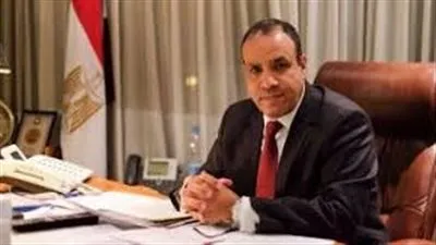 السيرة الذاتية لوزير الخارجية والهجرة الجديد السفير بدر عبد العاطي