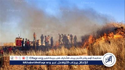 7 قتلى باحتجاجات في شمال سورية