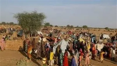 الأمم المتحدة تكشف 