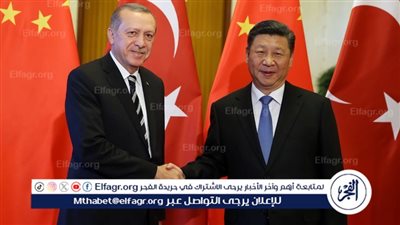 أردوغان: نسعى للانضمام إلى 