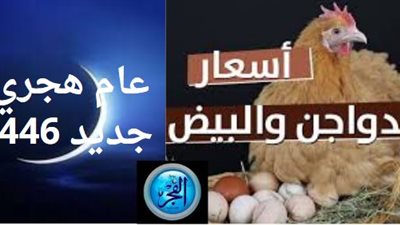 مع بداية العام الهجري الجديد 1446.. آخر تحديثات أسعار الدواجن اليوم الأحد 7 - 7 - 2024