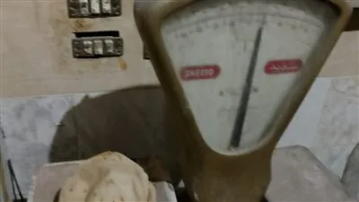  غلق 4 مخابز بلدية وتحرير 348 محضرا تموينيا خلال حملات تفتيشية بالمنوفية